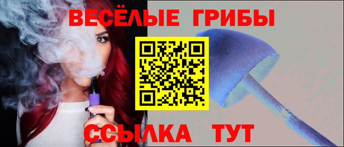 Гусев  Псилоцибиновые грибы мицелий  Вход с VPN  Псилоцибиновые грибы прущие грибы 