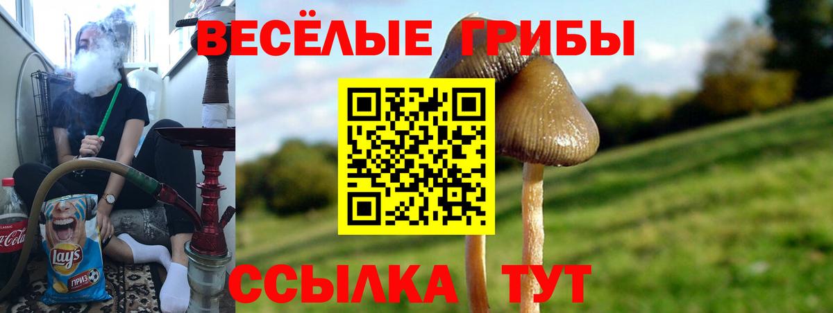 Галлюциногенные грибы мицелий Гусев