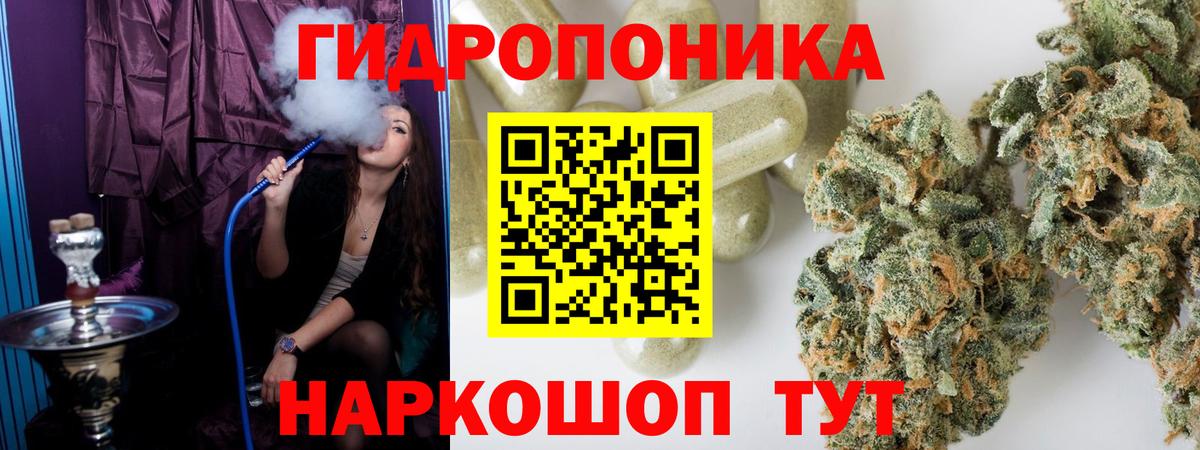 Канабис гибрид Гусев